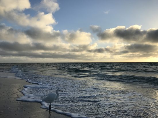 At Pelican bay of Naples in Florida